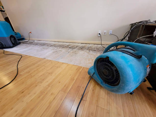 Professional Water Damage Repair technician working in Holliston, MA